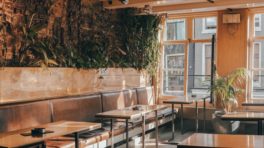Kafé Norr — demo av webbplats för kafé, varm interiör i dagsljus
